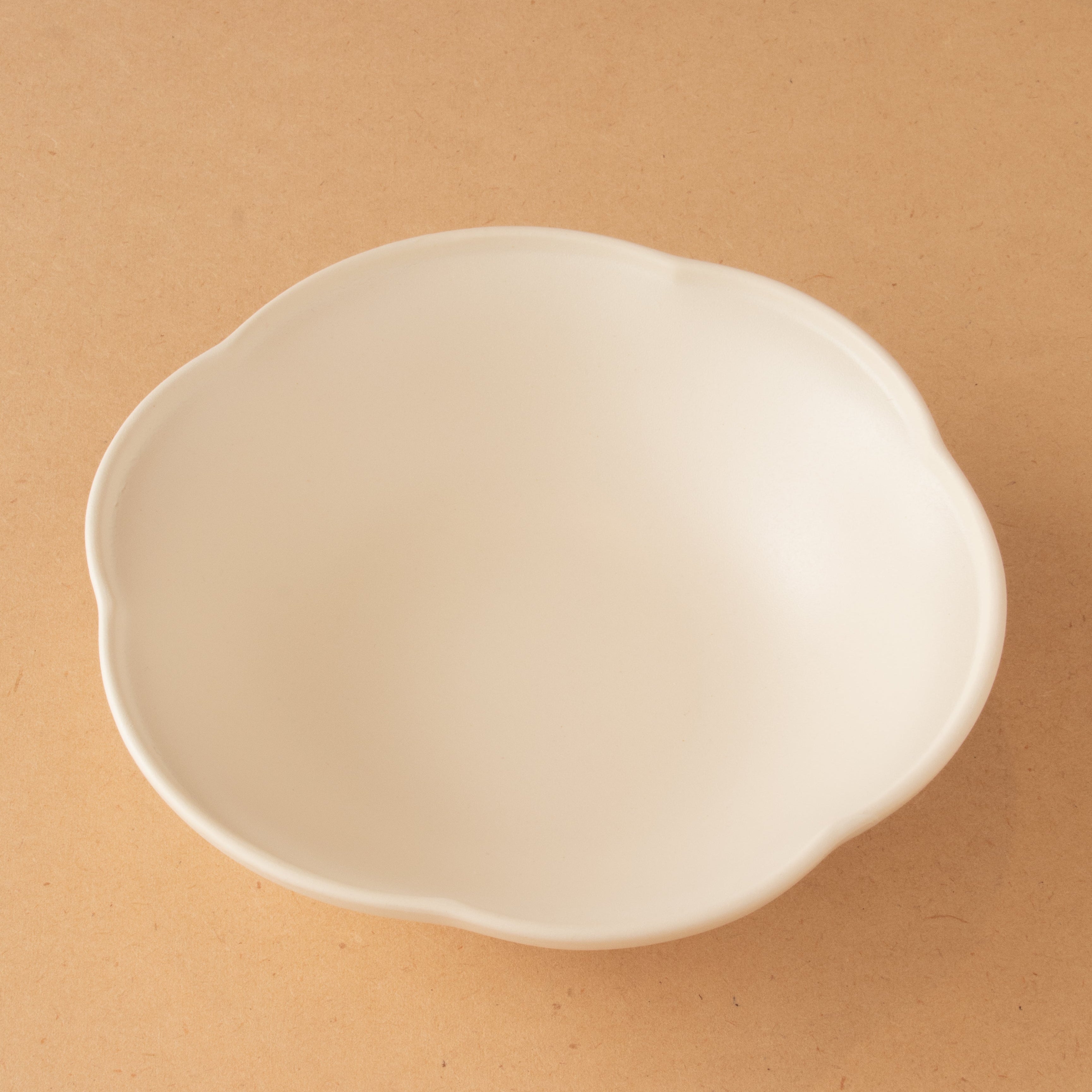 1.jpg?v=1769565674&width=1920